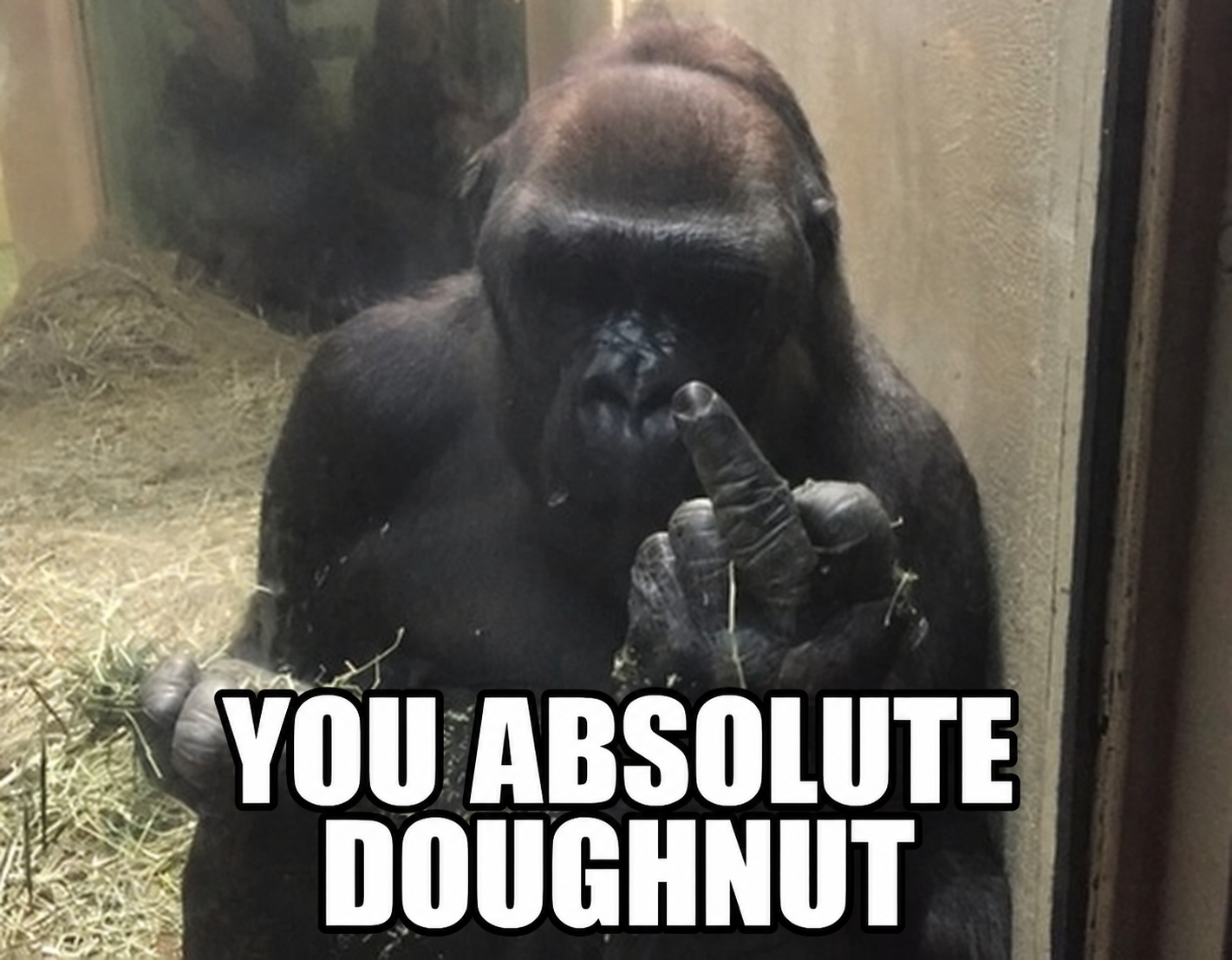An ape raising its middle finger, captioned: YOU ABSOLUTE DOUGHNUT.